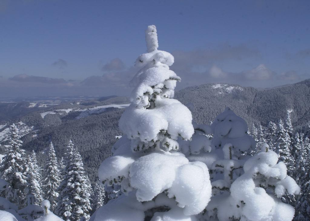 Jura Hotels Ilgaz Mountain Resort Экстерьер фото