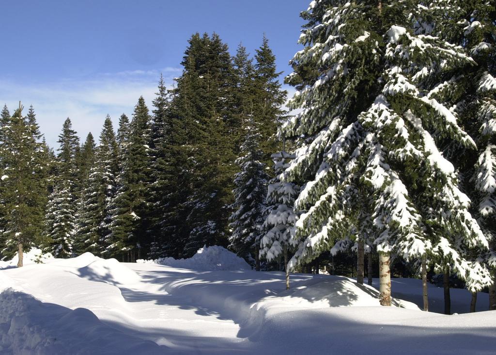 Jura Hotels Ilgaz Mountain Resort Экстерьер фото