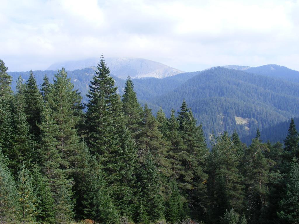 Jura Hotels Ilgaz Mountain Resort Экстерьер фото