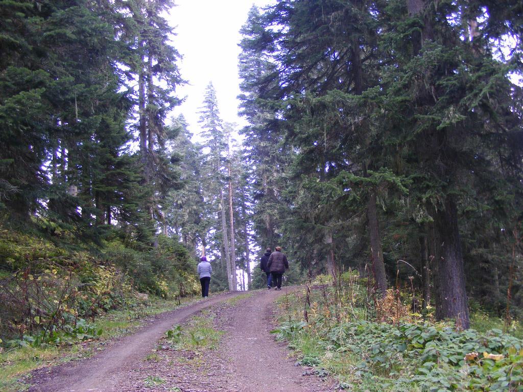 Jura Hotels Ilgaz Mountain Resort Экстерьер фото
